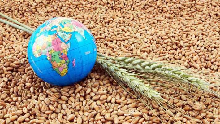 Эксперты сократили прогноз мировых запасов зерна на конец сезона