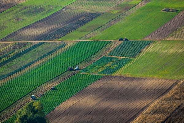 Середня вартість гектара землі по Україні становитиме $1-1,5 тисячі 