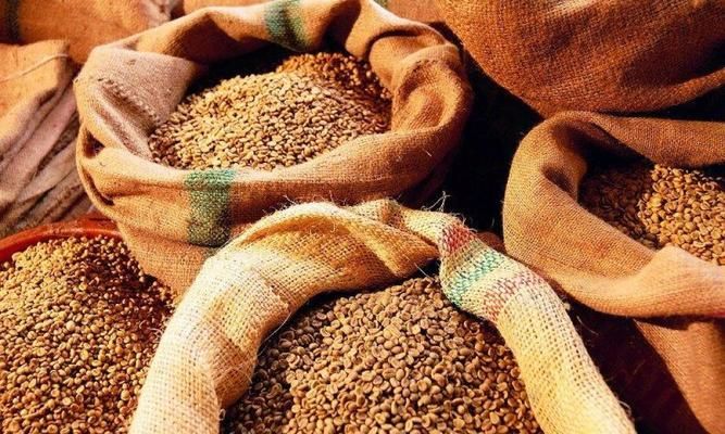 Нардепи пропонують тимчасово ввести ставки ввізного мита на окремі види зернових