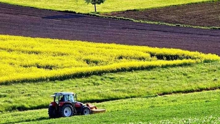 Закон про ринок землі передали на підпис президенту