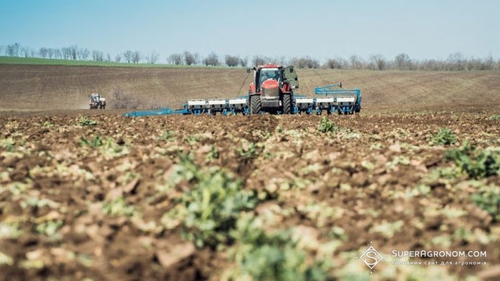 Ярих культур посіють на 0,3 млн га більше, ніж у 2019 році