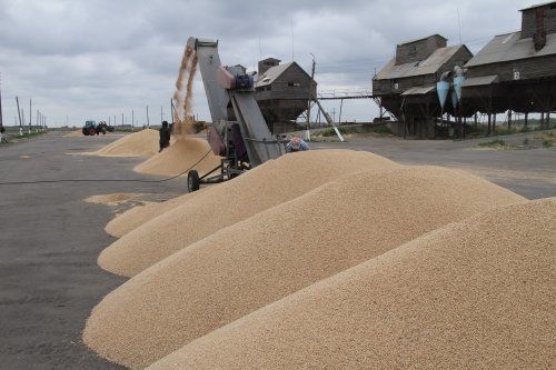 В Запорожской области аграрии начали сбор ранних зерновых