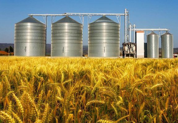 G.R. Agro інвестував понад $6 млн у реконструкцію двох елеваторів  