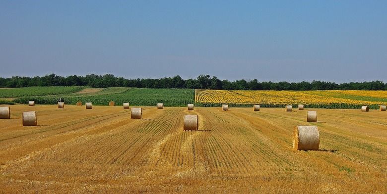 ВРУ розгляне законопроекти для повноцінного функціонування аграрного реєстру 