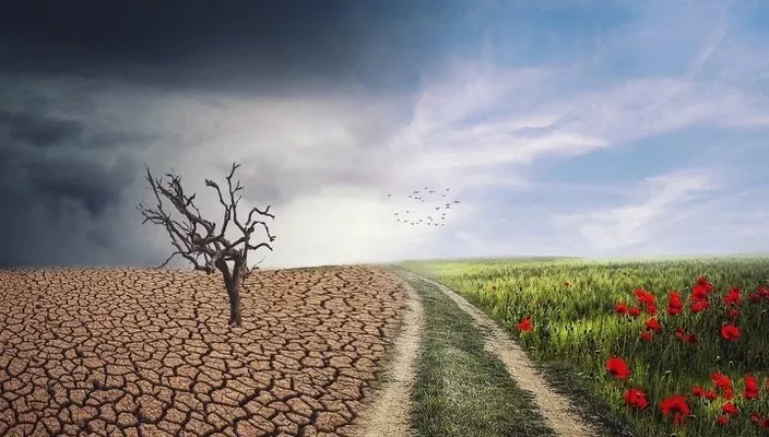 Климатические изменения привели к тотальному обезвоживанию территории Украины 
