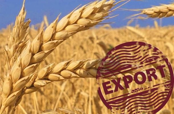 За 10 месяцев сезона экспорт пшеницы из ЕС увеличился более чем на 60%