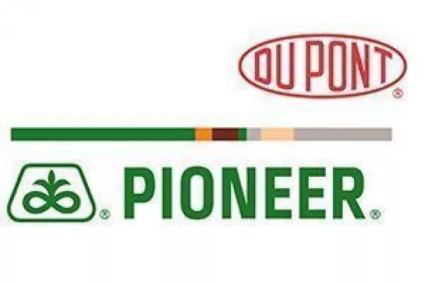 DuPont Pioneer предлагает аграриям программу пересева озимого рапса