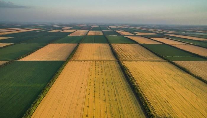 ВРУ зареєструвала законопроект щодо заборони відчуження земель сільгосппризначення 