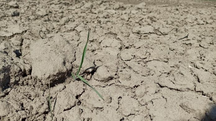 Засуха продолжается в четырех областях Украины