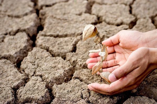В Черкаській області розпочалась ґрунтова посуха