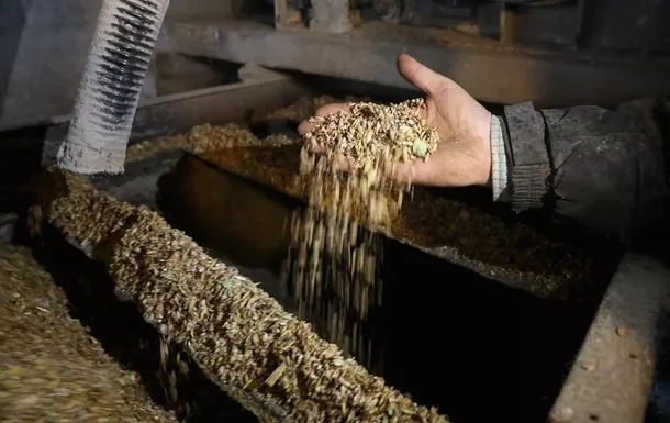 Травневі дощі сприяли підвищенню прогнозу виробництва українського зерна 