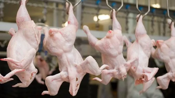 В Україні вже четвертий місяць дешевшає курятина