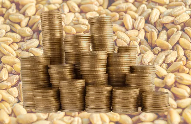 Аграрный фонд закупил по форварду зерна на 230 млн грн
