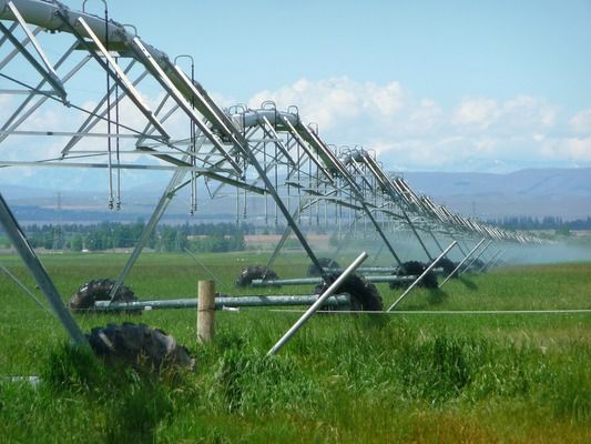 Для України необхідно розробити національну програму зрошення - думка експерта