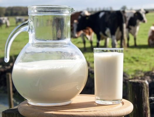 Цены на молоко еще просели, но ожидается стабилизация