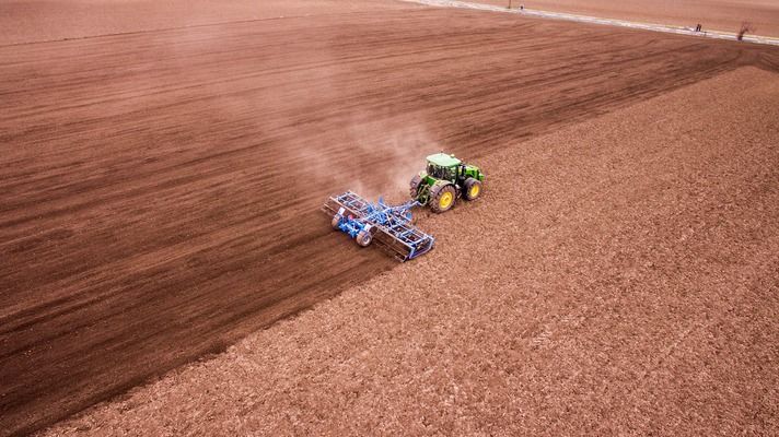 На Кіровоградщині аграрії пересівають поля через загибель озимих 