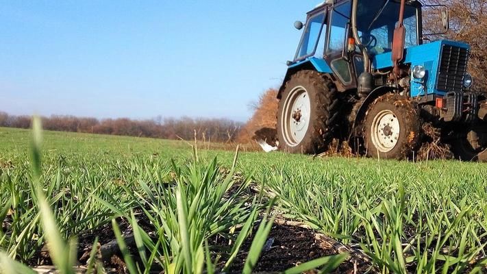 Три чверті озимих на Запоріжжі перебуває в слабкому та зрідженому стані