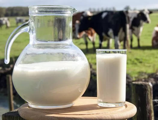 Закупівельна ціна на молоко селянських господарств впала майже до собівартості