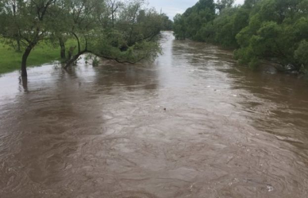 Через підвищення рівня води в ріках можуть постраждати посіви  