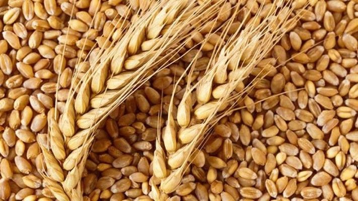 В Україні спростили процес експорту зерна