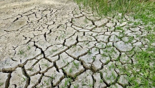 Через посуху у Молдові постраждало більше половини озимини