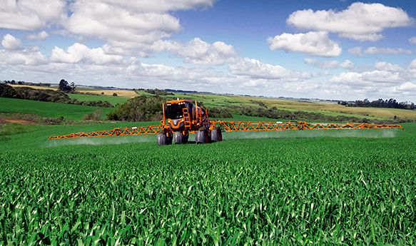 Ефективний захист посівів був неможливим через погодні умови