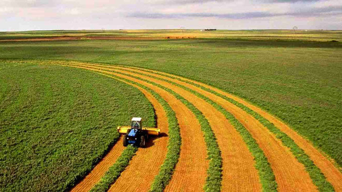 Експерт розповів, скільки коштуватиме гектар землі в Україні