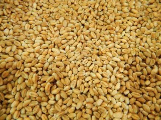 Україна експортувала пшениці на $1 млрд за п’ять місяців 2020 року