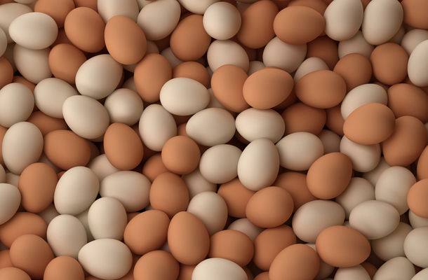 В Латвии будут дополнительно контролировать украинские яичные продукты