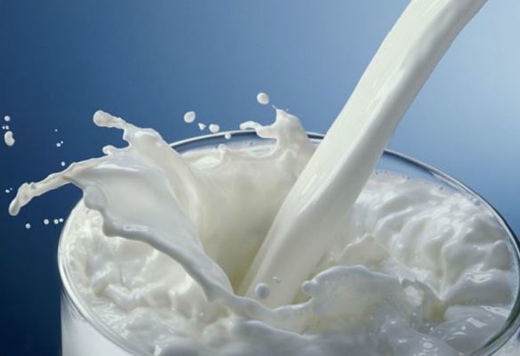 У світі цьогоріч може зрости виробництво молока