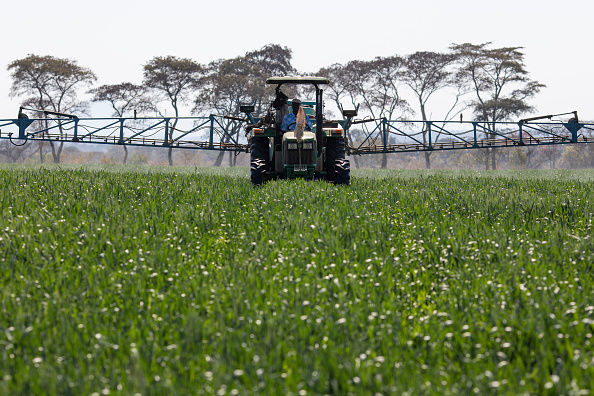 У восьми областях аграрії понаднормово забезпечені пестицидами