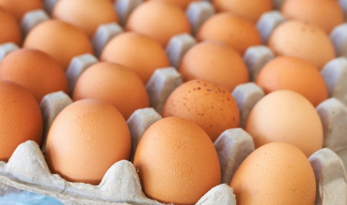 В Україні вироблено 7 млрд яєць за п’ять місяців