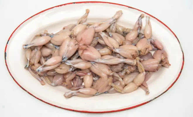 На Львівщині практикуватимуть промислове виробництво жаб’ячого м’яса