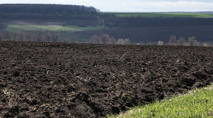 Підприємців з Туреччини цікавить земельна реформа в Україні