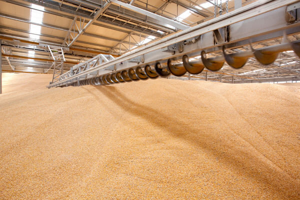 В Україні зменшився запас зернових