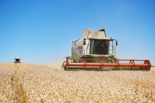Аграрії вже намолотили першу сотню тонн зерна