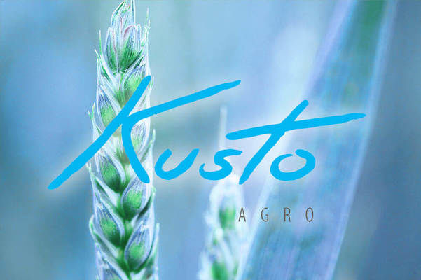 У «Кусто Агро» додатково підживлюють посіви кукурудзи та пшениці