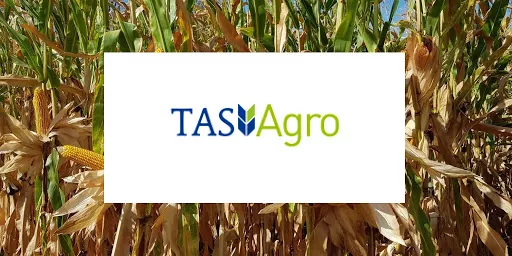У «ТАС Агро» триває зернозбиральна кампанія 