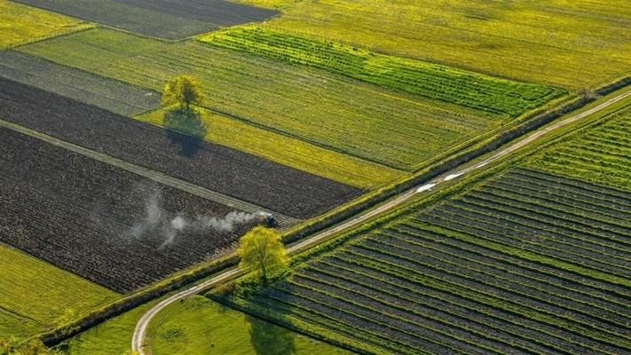 Названо умови пільгового кредитування придбання землі