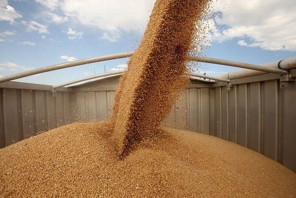 Перевозки зерна по Днепру существенно уменьшились