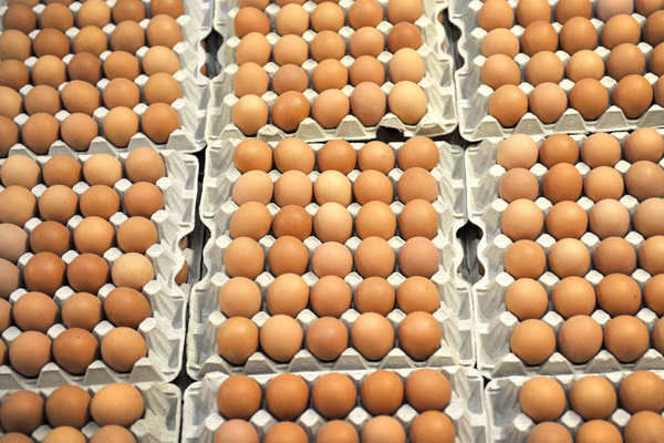 Експорт українських яєць скоротився 