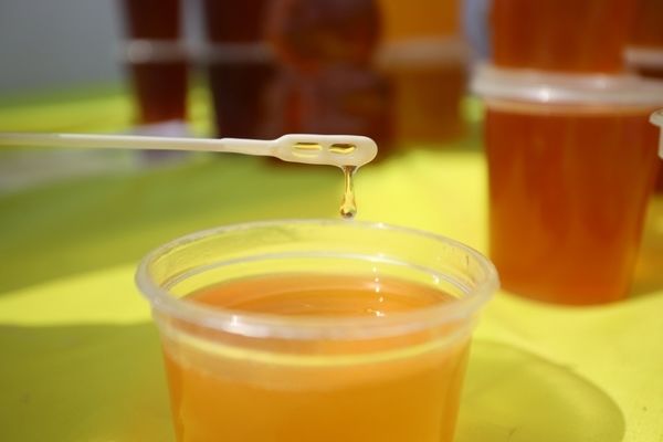 Зріс експорт українського меду до США