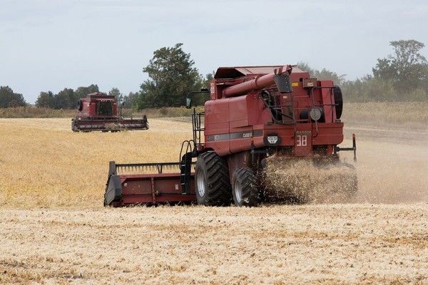 Найактивніше жнива відбуваються у південних областях