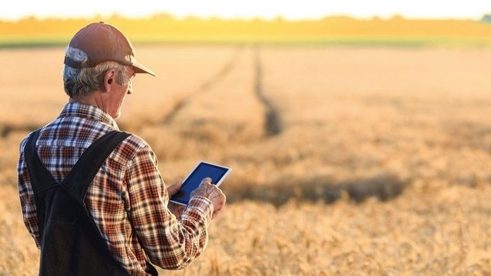 В Україні зросла кількість фермерських господарств