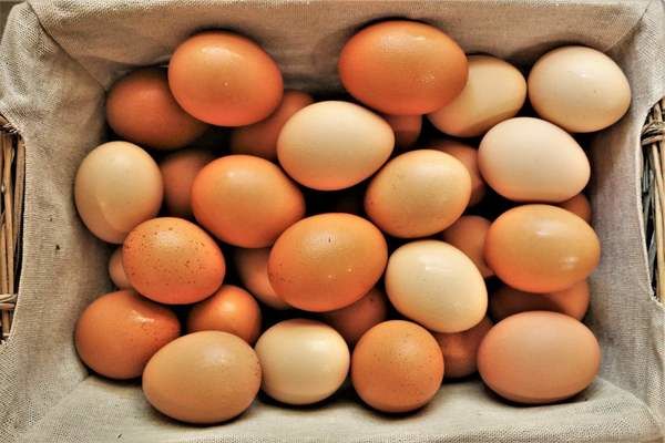 Експорт українських яєць суттєво зменшився