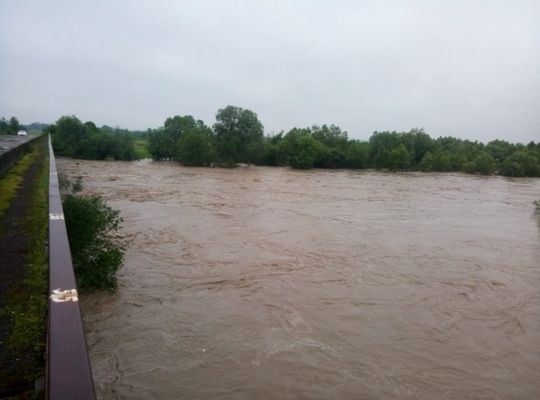 У кількох районах Волині підтоплено посіви