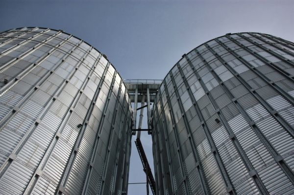 На «Ніжинському елеваторі» Баришівської зернової компанії приймають зерно нового врожаю