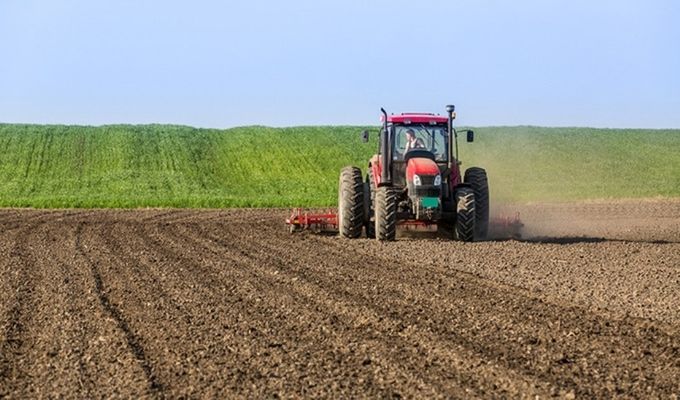 Зменшилася кількість штатних працівників у агросекторі