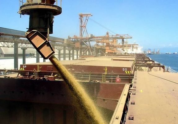 В николаевском «Аскет Шиппинг» в новом сезоне уже приняли 140 тысяч тонн пшеницы 