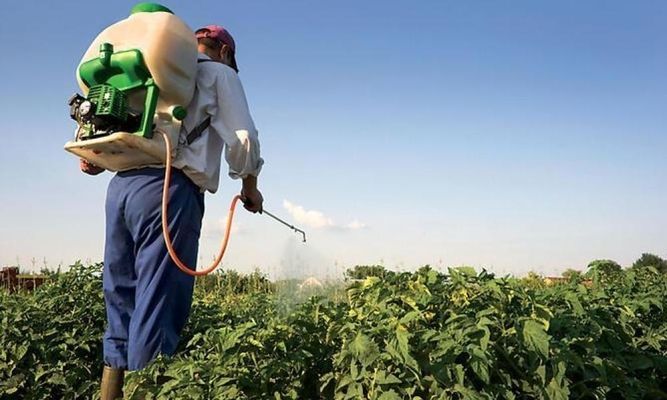В урядовців просять розблокувати держреєстрацію пестицидів та агрохімікатів